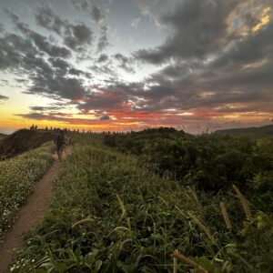 Tour Punta Cometa