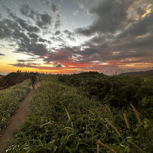 Tour Punta Cometa