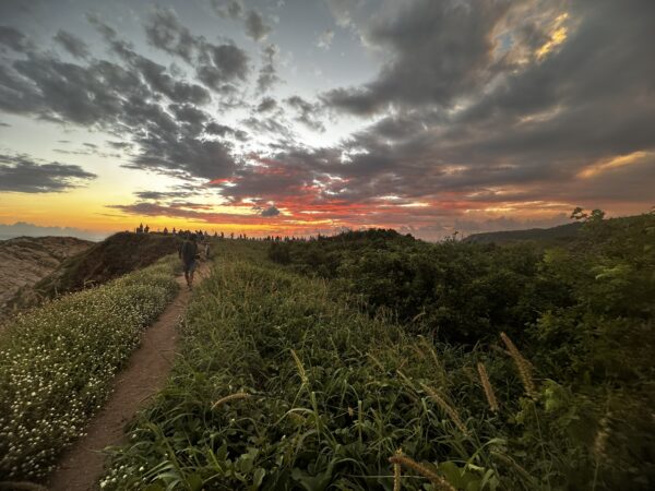 Tour Punta Cometa