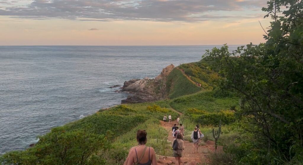 Imagen de WhatsApp 2024-11-08 a las 19.39.46_aa89f13e